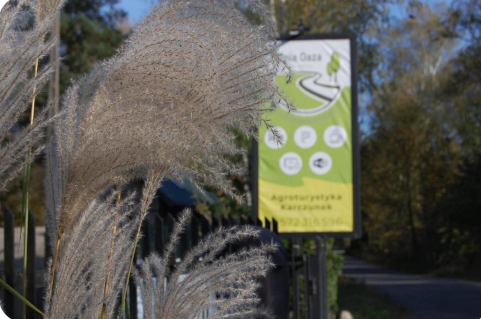 Wypoczynek Letnia Oaza Villa Sobienie Jeziory Buitenkant foto
