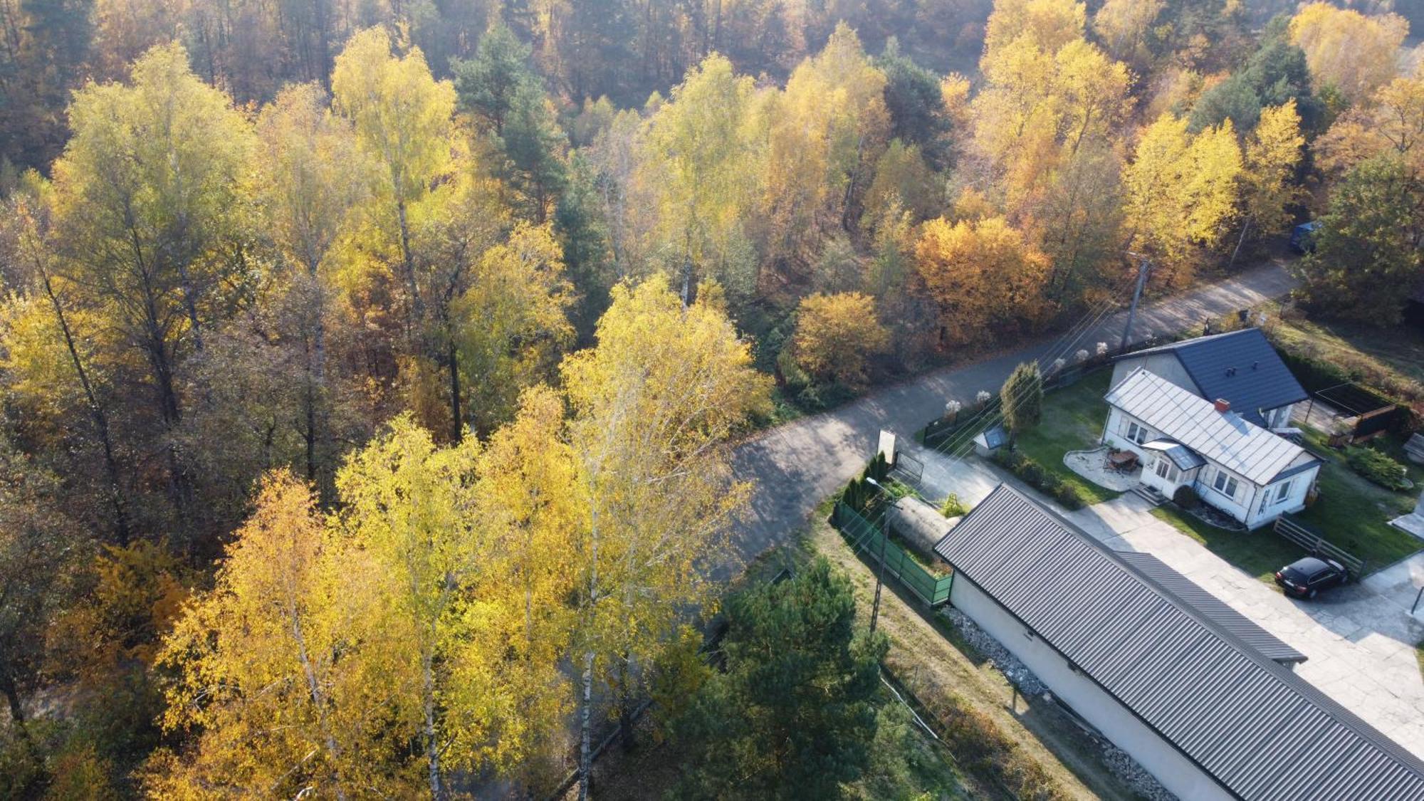 Wypoczynek Letnia Oaza Villa Sobienie Jeziory Buitenkant foto